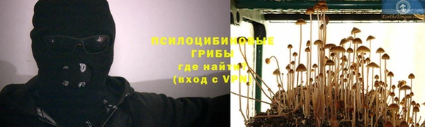 2c-b Кирс