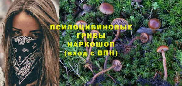 синтетический гашиш Вяземский