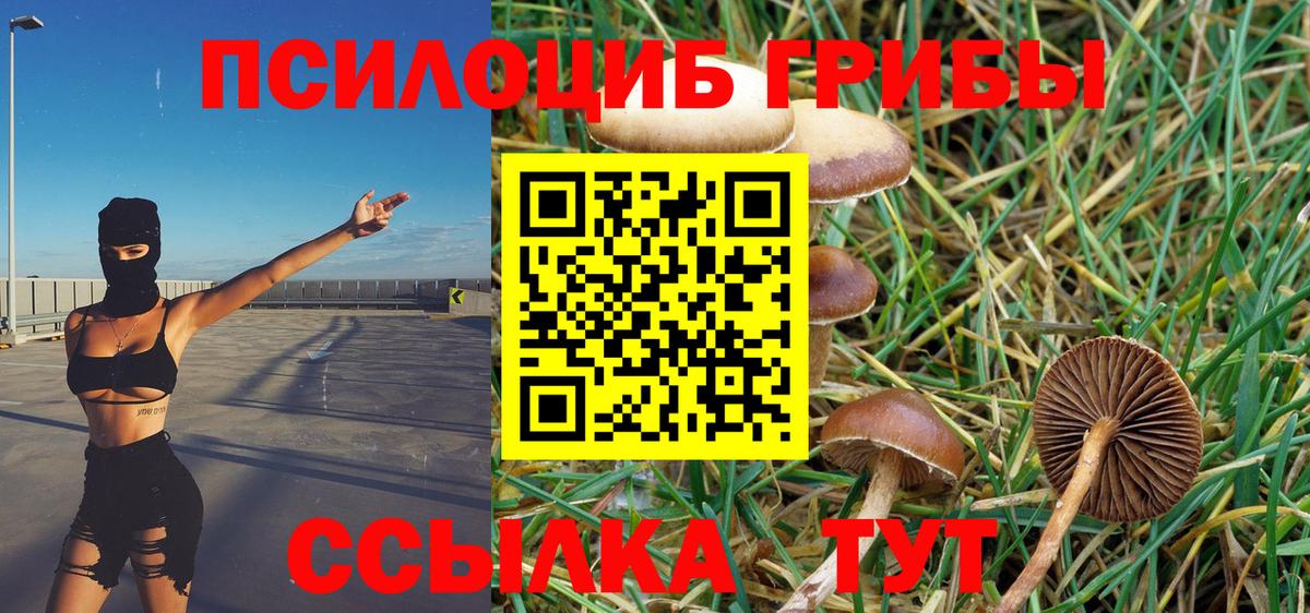 Псилоцибиновые грибы Magic Shrooms  купить   Гусь-Хрустальный  Вход с VPN 