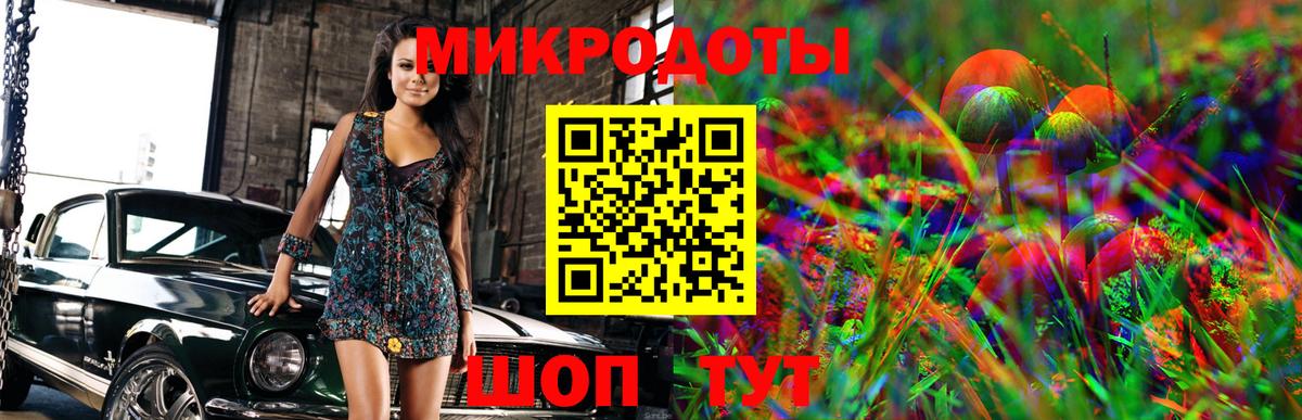 Галлюциногенные грибы GOLDEN TEACHER  где купить   Галлюциногенные грибы Cubensis  Гусь-Хрустальный 