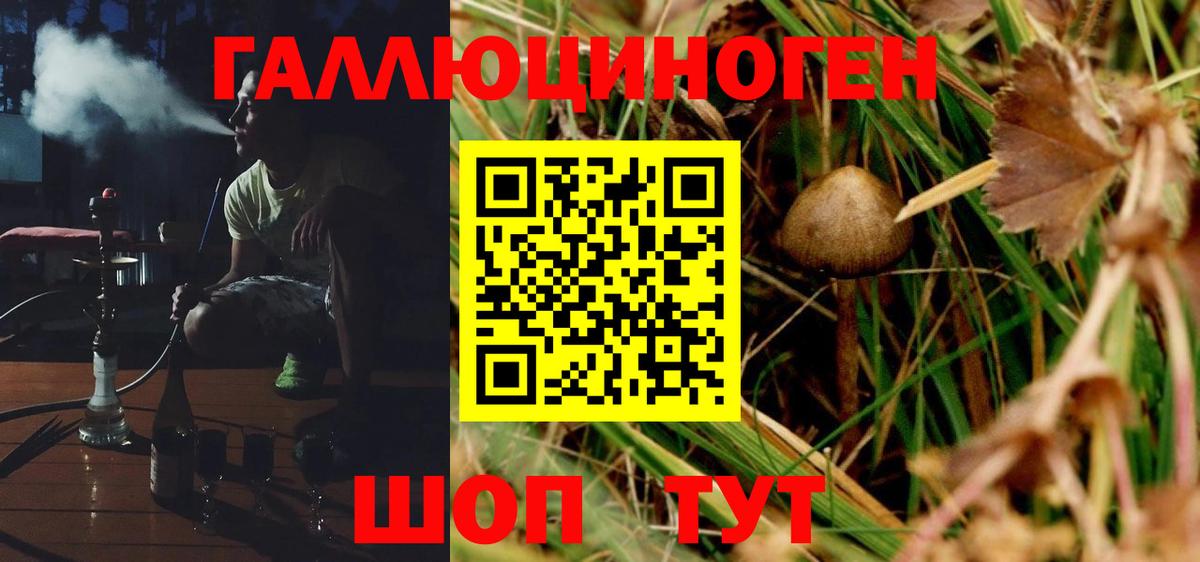 Псилоцибиновые грибы мицелий Гусь-Хрустальный