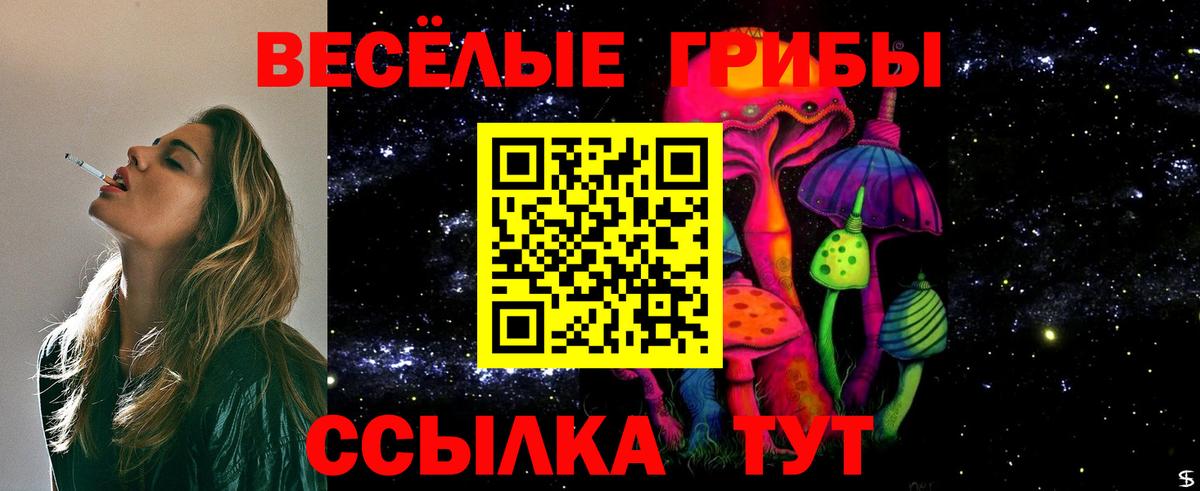 Галлюциногенные грибы GOLDEN TEACHER Гусь-Хрустальный